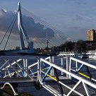 The Swan bridge Rotterdam